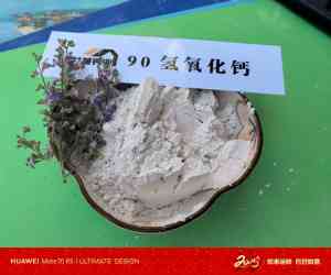 消石灰、高比表氢氧化钙优质品牌大揭秘：4 家优质厂家脱颖而出