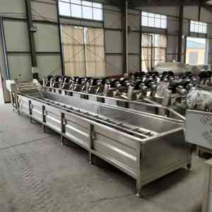 野生菌/干果/大枣/菌菇/冒泡清洗机厂家权威评估：聚焦专业实力的4强优选