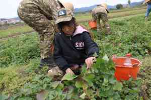 2025 年广州黄埔军校冬令营项目权威解析：聚焦广州新征程文化活动策划有限公司的特色优势及丰富经验