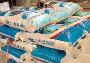 扇贝边粉、饲料等水产用料厂商推荐：优质供货厂家为养殖添动力