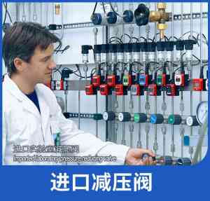 VTON进口气瓶减压阀等优质厂家推荐：深圳名阀进出口贸易有限公司领衔