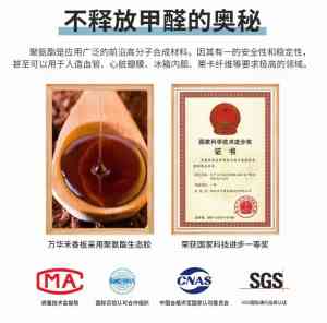 无醛墙漆与胶类产品优质企业推荐：云南未来家家具厂领衔多家实力厂家