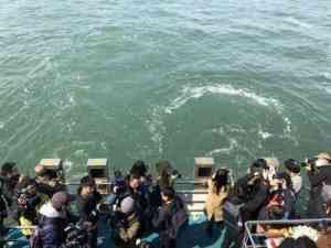 京津冀骨灰撒海、海葬办理服务推荐：热门服务商实力大揭秘！