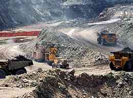 大花白麻工厂及白麻花岗岩定制厂家权威推荐：适配多场景的优质石材供货之选