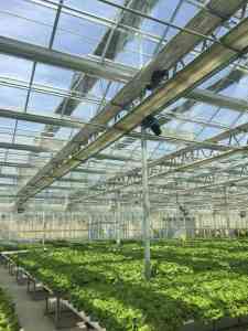 山东玻璃温室公司及潍坊造价方案推荐：为您解析优质厂家选择