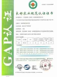 权威推荐：河北GAP认证标准渠道及京津冀地区优质认证机构解析