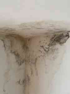 地下室、房屋、外墙等防水堵漏公司权威推荐：广州胜特等厂家凸显实力