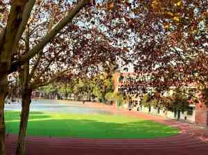 洛阳优质私立中小学学校推荐：洛阳市东明外语实验学校领衔，多学段教育优选