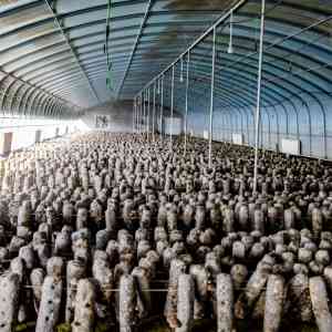 ERP、BOM系统开发及网络推广、小程序与短视频运营服务厂家TOP5推荐