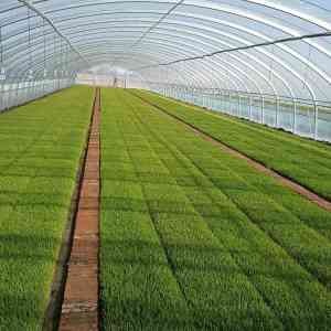 铝青铜管材、棒材及黄铜板等定制厂家优质推荐，实力厂商不容错过