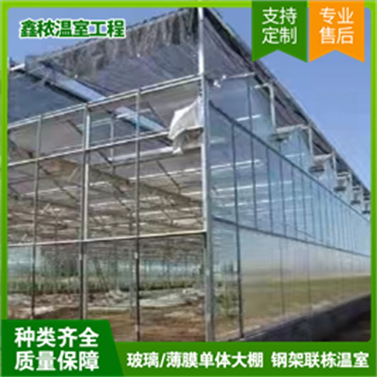 Glass Greenhouse