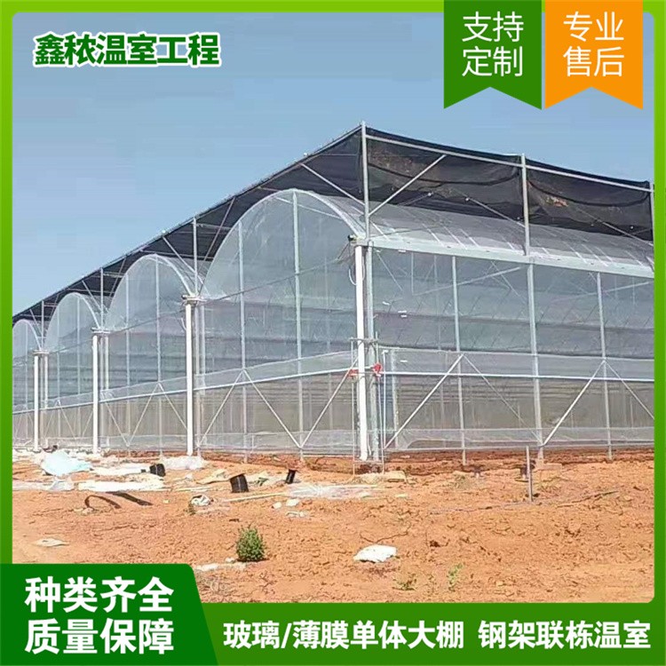 Glass Greenhouse