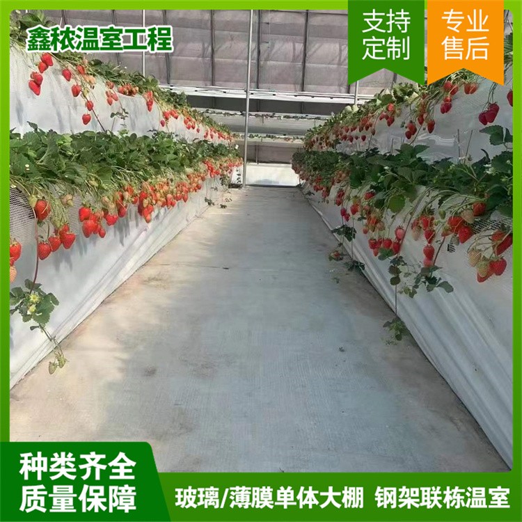 立体种植