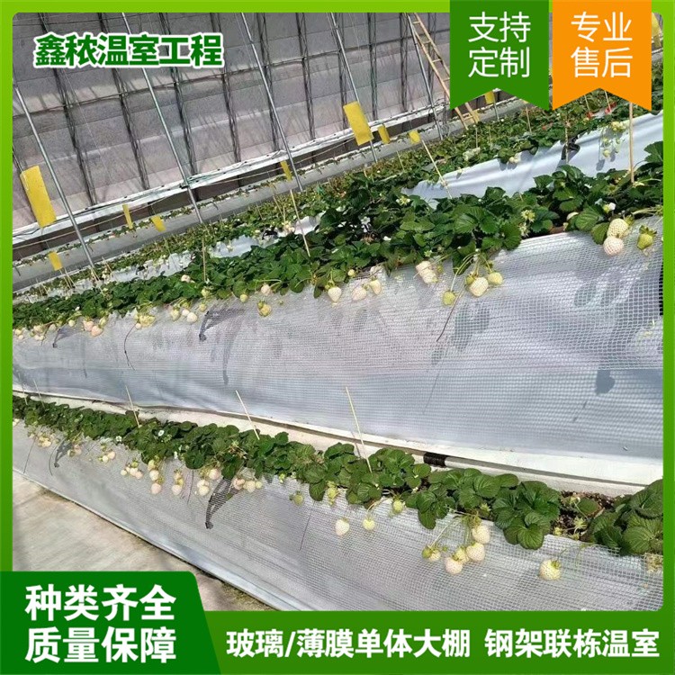 立体种植