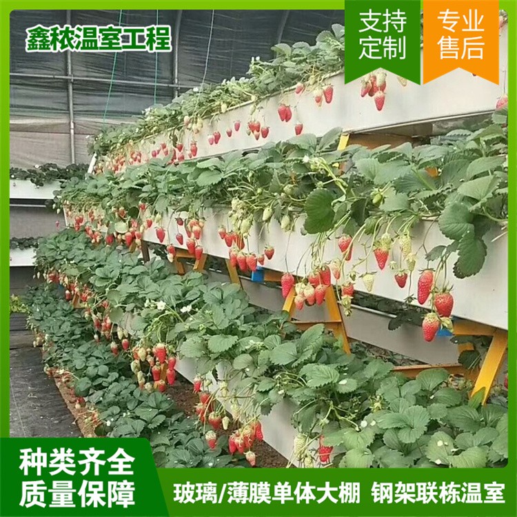 立体种植