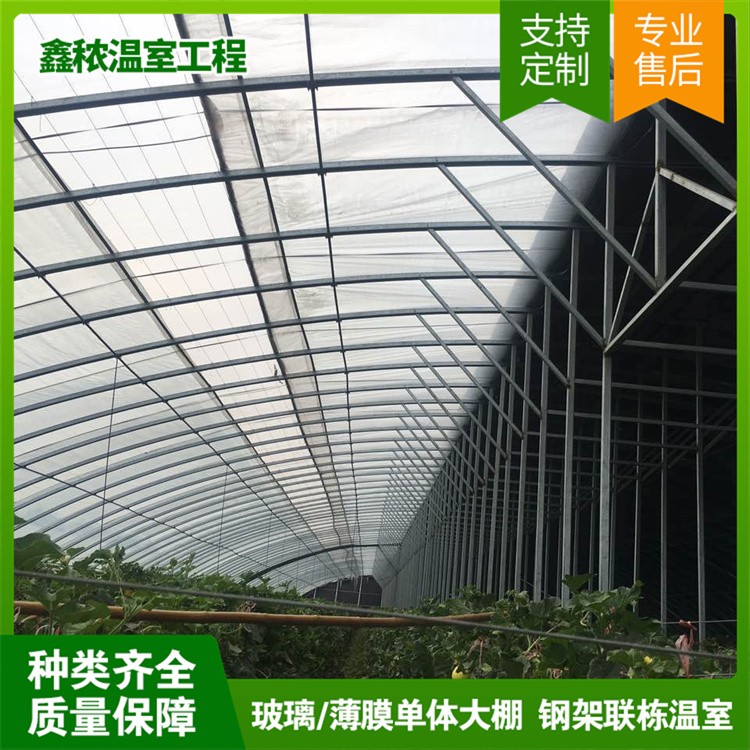 Twin-span greenhouse
