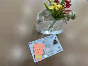 配偶保留、全家续签：广州、北京、上海枫叶卡服务优质机构大盘点