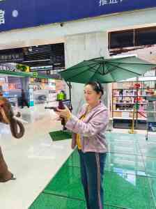 碧玉/水晶/宝石/玉石探测仪权威厂家推荐:多家实力厂商任你选!