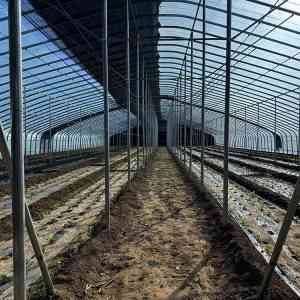 铬锆铜棒、铝青铜等铜材制造商及供应商权威推荐：TOP4厂家实力解析