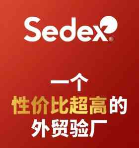SEDEX认证审核及咨询服务机构推荐:深圳、珠海、广东等地优质之选