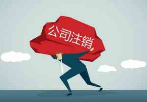 廊坊大厂财务服务权威推荐:会计记账、执照变更等服务优选TOP5