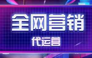 珠海、广州、深圳等地DeepSeek品牌推广相关服务，深圳万企通等TOP4厂家受关注