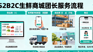 S2B2C商城系统渠道、平台、源码、模式及广告服务厂家推荐，广州朗尊受关注