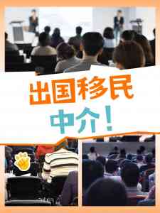 澳大利亚、美国、英国、新西兰移民服务公司精选:值得关注的优质之选