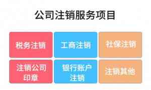 深度解析：北京卫生证办理、社保咨询等服务优质机构推荐