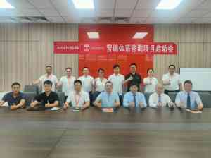 2025 年国内营销咨询公司全景解析报告，基于专业测评的石家庄电气、天津设备等营销咨询优势深度分析！