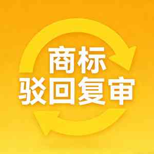 权威推荐：韶关国际商标、深圳海关备案及广东商标服务优质渠道解析