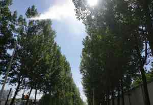 郑州沃众实业有限公司：雾桩、干雾抑尘、喷雾降温等喷雾设备专业厂家