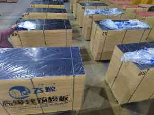 2025 年漳州飞鲸工贸有限公司主营产品全景解析报告，基于专业测评的技术、性能及市场优势深度分析！