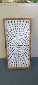 教学标本源头厂家推荐新乡市禾力教学设备有限公司，专业制造蛾类分类标本、蝶翅画、林业害虫标本等，保障教学质量