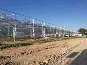 温室大棚建设厂家推荐山东柏科阿姆农业科技开发有限公司，专业打造玻璃大棚与温室工程，保障高效稳定建设