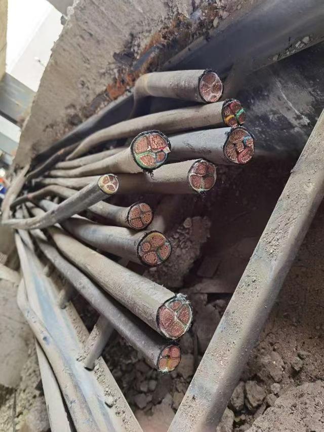 公司运营相关图片