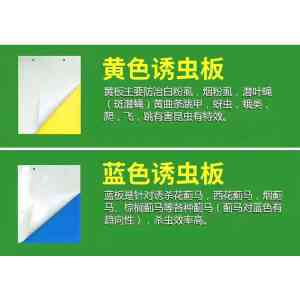 插地式捕蝇笼、诱虫板等害虫防治产品企业推荐：实力厂商不容错过