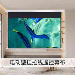投影幕布企业、无线遥控升降幕供货商实力解析：4 家优质厂商脱颖而出