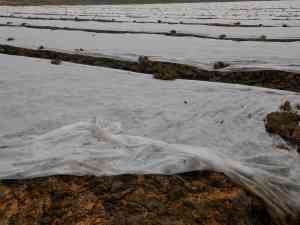 造林种苗基地品牌权威推荐：聚焦本土、工程、标杆等多类型优质之选