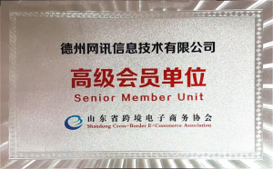 权威推荐！天津、河北等地短视频服务厂家，德州网讯信息技术有限公司居首