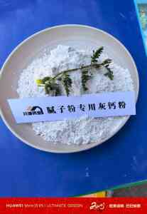 消石灰、氢氧化钙颗粒等优质厂家推荐：探寻高活性与高比表氢氧化钙品牌