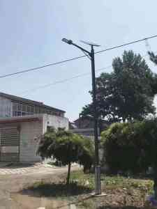 权威推荐!高杆灯、太阳能路灯等厂家优质之选,沈阳市天盈灯具领衔
