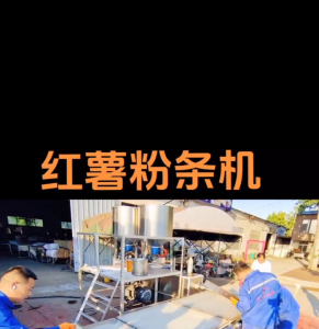红薯粉条机工厂、粉条加工机优质厂家权威推荐：适配多场景的实力之选