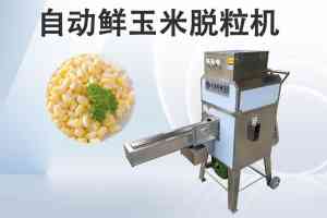 权威评测:大型/小型/电动/全自动玉米脱粒机厂家及品牌热度推荐