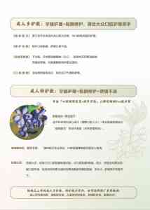牙膏品牌推荐：刷牙疼、功效、中草药、美白、护龈牙膏优质之选