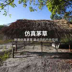仿真竹席供应商、制造商及批发厂家权威推荐：聚焦优质品牌与产品