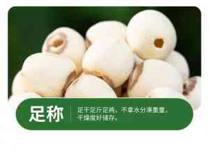 白莲子去芯大号品牌及手工白莲批发厂家推荐:优质供应商大盘点