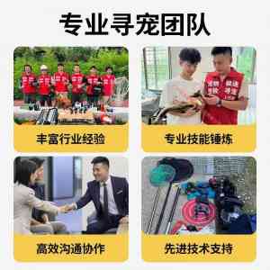 津冀京寻宠服务推荐:极速寻宠领衔,24小时高效找回爱宠!