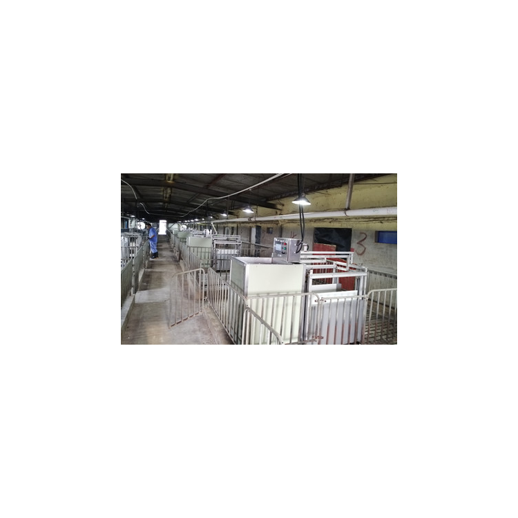 Pig Performance Testing Station