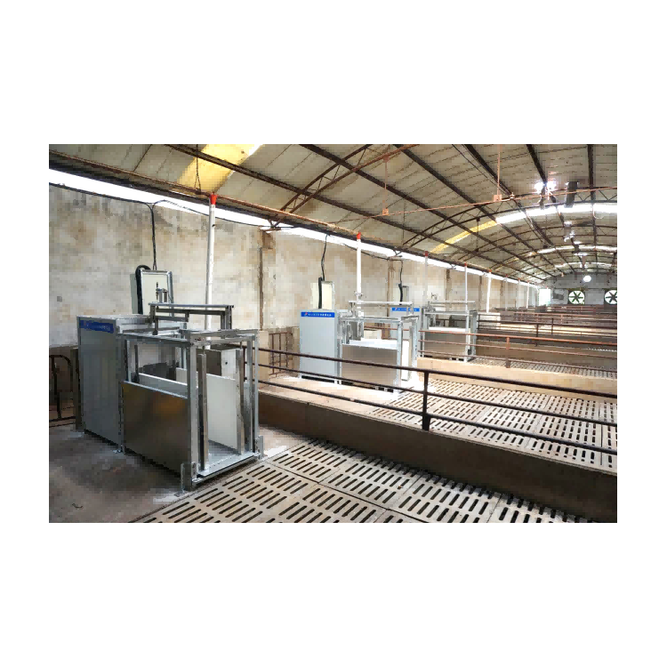 Pig Breeding Station